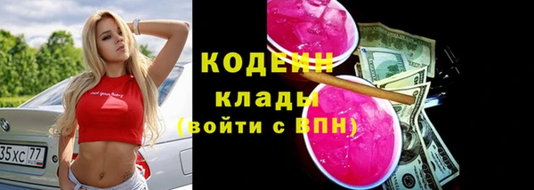 дурь Богородицк