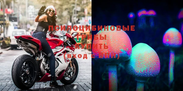 jwh Богородск