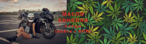 индика Покачи