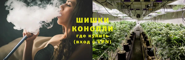 дурь Богородицк